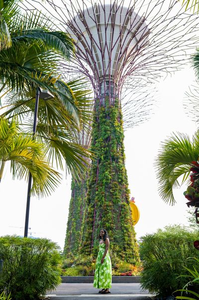 Professional photoshoot at Gardens by the Bay in Singapore — photo by Amelia Yuliana Binte Jamil, Smiler