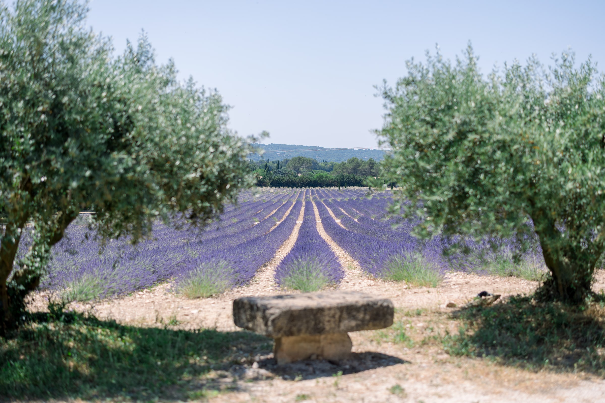Photoshoot in Aix-en-Provence