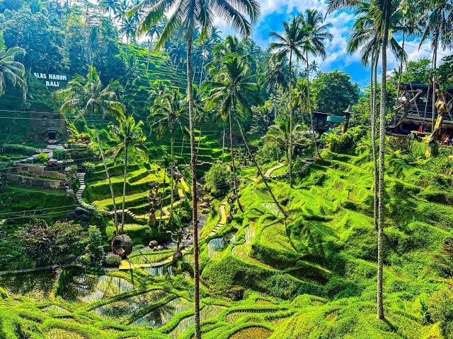 Photoshoot in Bali, Indonesia — professional photography location