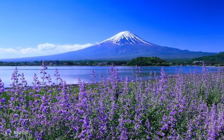 Photoshoot in Kawaguchiko, Japan — professional photography location