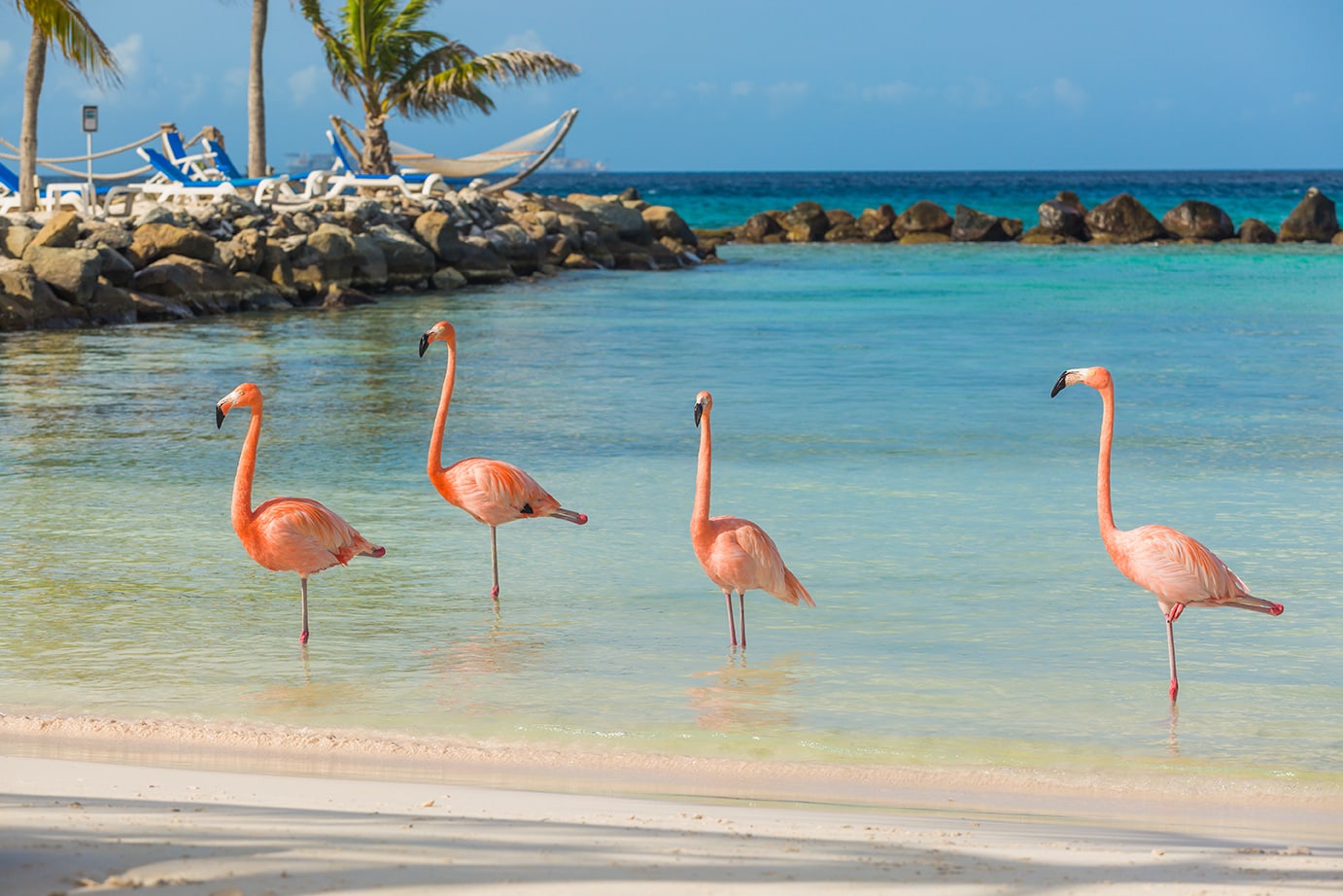 Photoshoot in Aruba, Aruba — professional photography location
