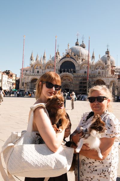 Professional photoshoot at the Piazza San Marco in Venice · 2 w ago — photo by K Yellow, Smiler